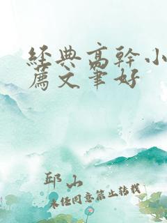 经典高干小说推荐文笔好