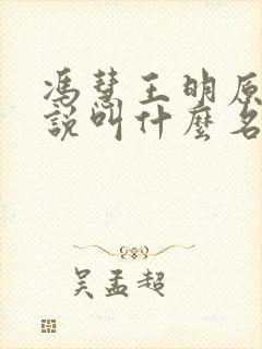 冯慧王明原著小说叫什么名字