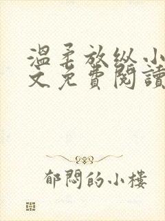 温柔放纵小说全文免费阅读