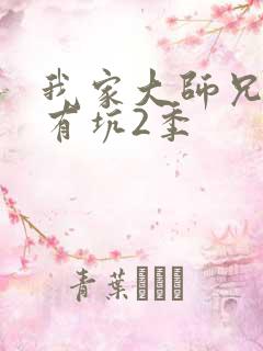 我家大师兄脑子有坑2季
