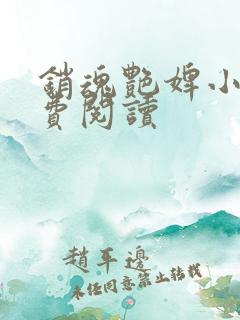 销魂艳婢小说免费阅读