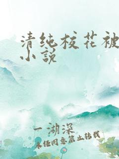 清纯校花被调教小说