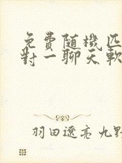 免费随机匹配一对一聊天软件