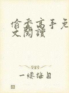 偷香高手免费全文阅读