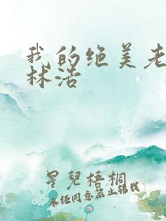 我的绝美老板娘林浩