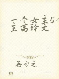 一个女主5个男主高干文