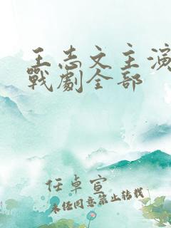 王志文主演的谍战剧全部