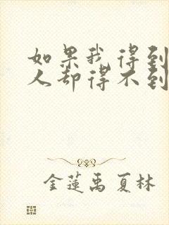 如果我得到你的人却得不到你的心是什么歌