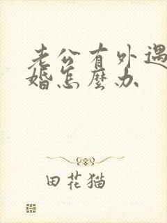 老公有外遇提离婚怎么办