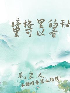 暗格里的秘密哪里可以看