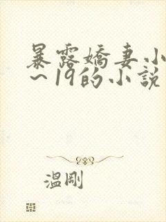 暴露娇妻小婷1～19的小说