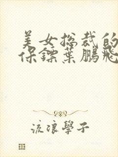 美女总裁的贴身保镖叶鹏飞免费阅读