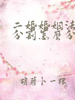 二婚婚姻法财产分割怎么分