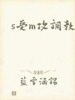 s受m攻调教文