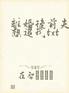 离婚后前夫总是想追我txt