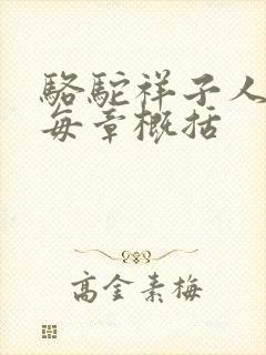 骆驼祥子人教版每章概括