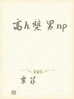 高h双男np