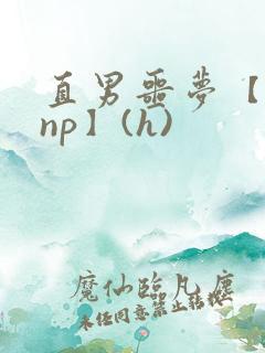 直男噩梦【双性np】(h)