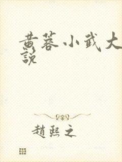 黄蓉小武大武小说