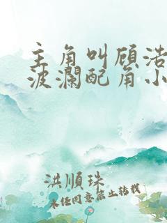 主角叫顾浩明的波澜配角小说