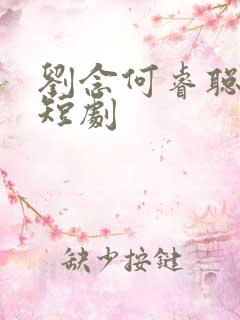 刘念何睿聪演的短剧