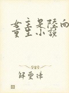 女主是陆向晚的重生小说