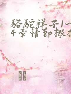 骆驼祥子1~24章情节概括