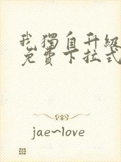 我独自升级漫画免费下拉式漫画网