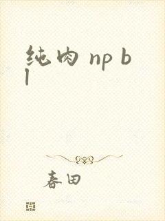 纯肉 np bl