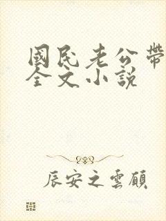 国民老公带回家全文小说