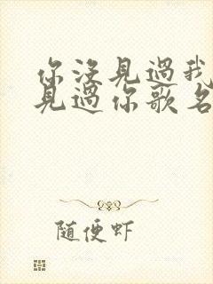 你没见过我我没见过你歌名