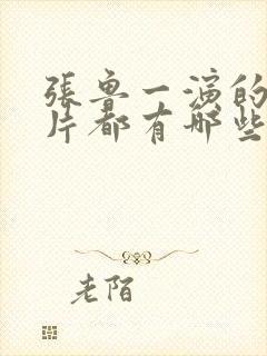 张鲁一演的谍战片都有哪些