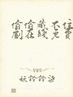 偷偷藏不住电视剧在线免费观看