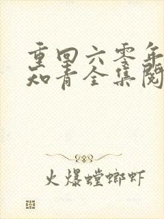 重回六零年代当知青全集阅读