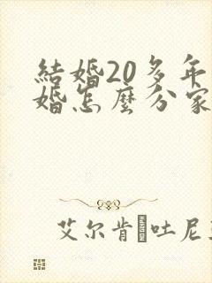 结婚20多年离婚怎么分家产