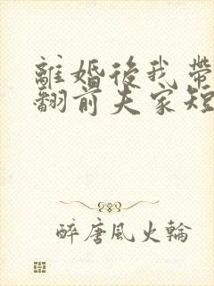 离婚后我带娃虐翻前夫家短剧全集免费观看