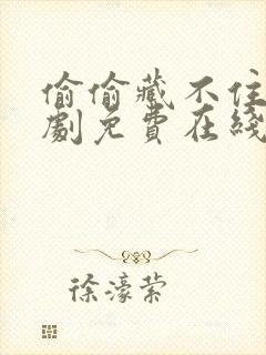 偷偷藏不住电视剧免费在线看