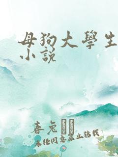 母狗大学生调教小说