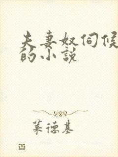 夫妻奴伺候主人的小说