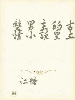 双男主的古代言情小说皇上和摄政王