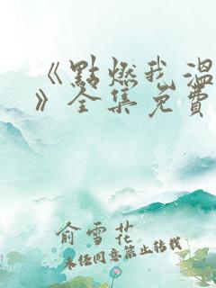 《点燃我温暖你》全集免费电视剧