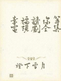 幸福请你等等我电视剧全集免费