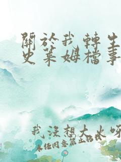 关于我转生变成史莱姆档事