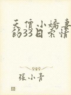 天价小娇妻总裁的33日索情小说
