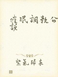 催眠调教公司小说