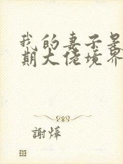 我的妻子是大乘期大佬境界等级