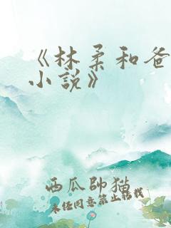 《林柔和爸爸的小说》