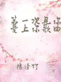 第一次见你我就爱上你歌曲