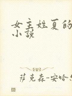 女主姓夏的总裁小说