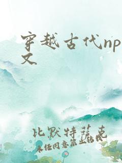 穿越古代np辣文